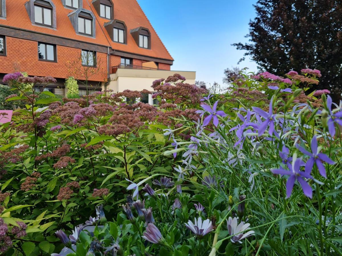 L'europe Hotel Horbourg-Wihr